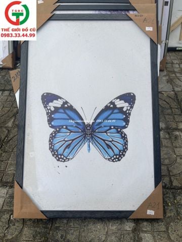 TRANH TƯỜNG IN HÌNH BƯỚM TRANG TRÍ PHÒNG