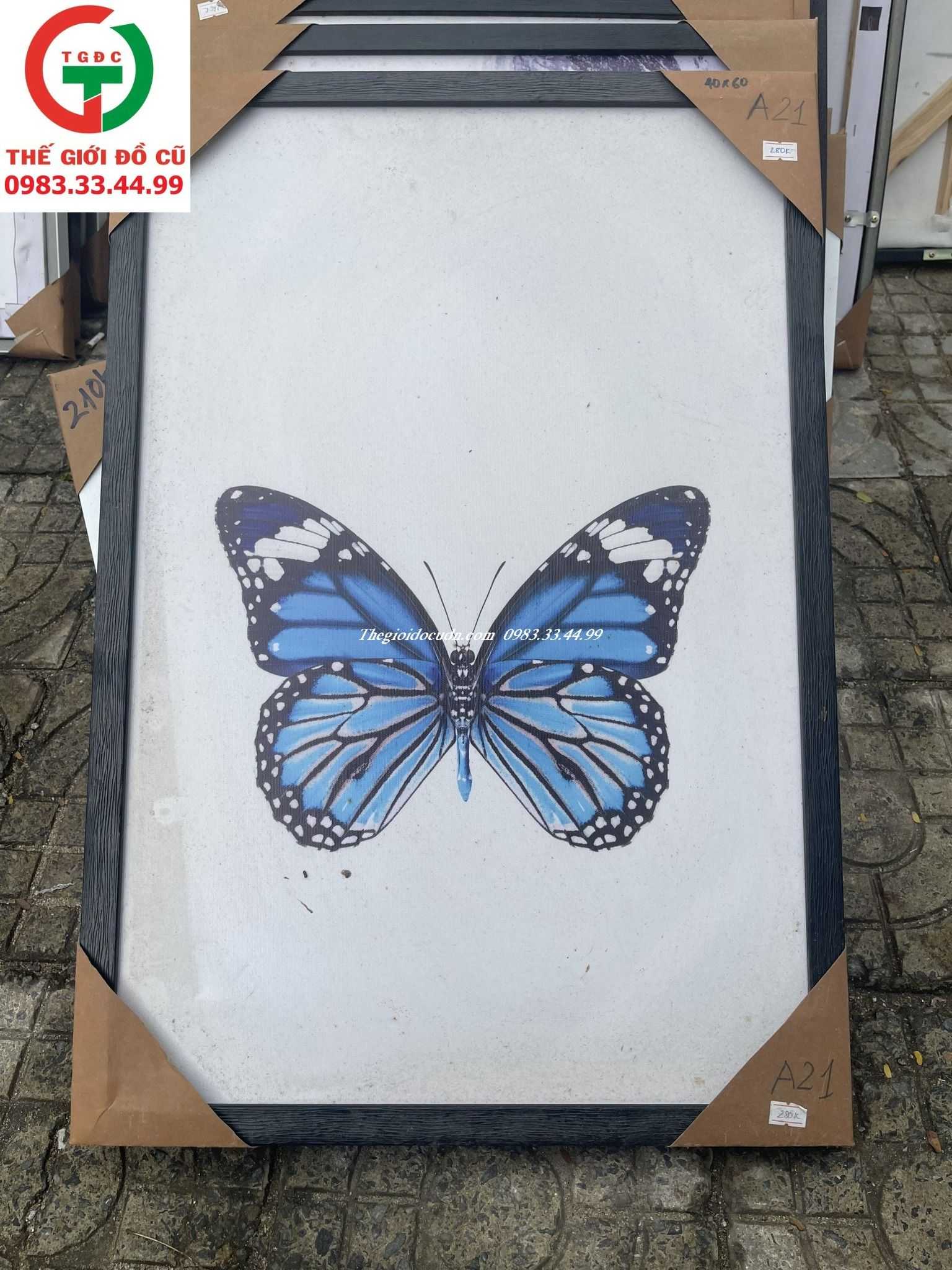 TRANH TƯỜNG IN HÌNH BƯỚM TRANG TRÍ PHÒNG