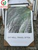 TRANH TƯỜNG CANVAS HÌNH LÁ DỪA DECOR PHÒNG