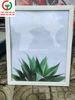 TRANH TƯỜNG CANVAS LÁ CÂY DECOR PHÒNG