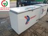 TỦ ĐÔNG SANAKY INVERTER 2 CÁNH VH-4099A3