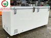 TỦ ĐÔNG SANAKY 2 CÁNH INVERTER