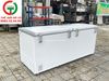 TỦ ĐÔNG SANAKY INVERTER 2 CÁNH VH-8699HY3