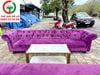 BỘ GHẾ SOFA BĂNG ĐỆM NHUNG TÍM