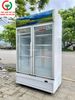 TỦ MÁT SANAKY 2 CÁNH