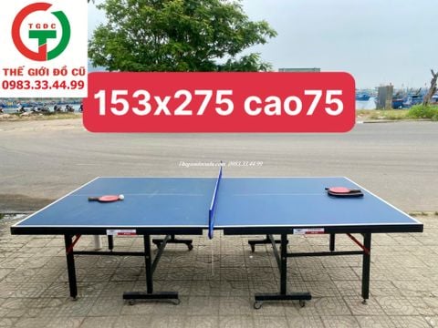 BÀN BÓNG BÀN THIÊN TRƯỜNG PT-02