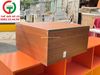 TỦ THOẠ GỖ MDF LÕI XANH 2 CÁNH