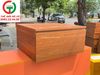 TỦ THOẠ GỖ MDF LÕI XANH 2 CÁNH