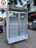 TỦ MÁT 2 CÁNH SANAKY