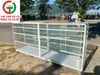TỦ NHÔM KÍNH TRƯNG BÀY SẢN PHẨM
