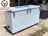 TỦ ĐÔNG MÁT DARLING DMF-4999WE