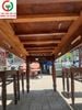 BỘ BÀN TRÀ CHÂN TIỆN 6 GHẾ GỖ XƯA