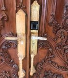 Khóa điện tử Archie AJ1051-01A-02