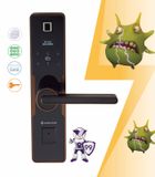 Khóa điện tử Archie AJ4011-04-KP