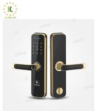 Khóa điện tử KASSLER KL-668