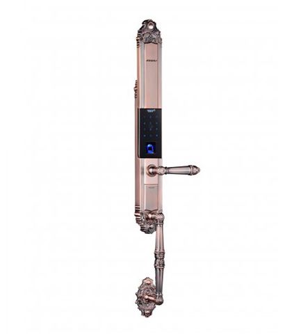 Khóa cửa vân tay Kaadas 6001