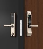 Khóa cửa vân tay Kaadas 5011