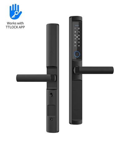 Khóa Vân Tay Cửa Nhôm TTLOCK F2