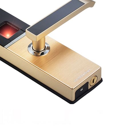 Khóa Vân Tay Dessmann G810