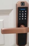 Khóa vân tay TTlock M1