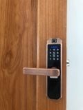 Khóa vân tay TTlock M1