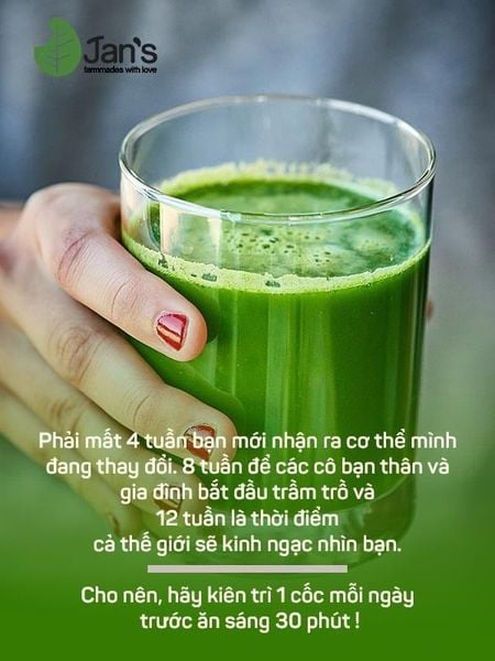 Bột Cải Kale Sấy Lạnh hữu cơ Jan’s Powder