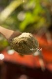 Bột cỏ lúa mì hữu cơ Dragon Superfoods