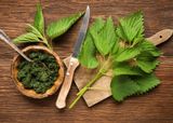 Bột lá tầm ma hữu cơ Dragon Superfoods