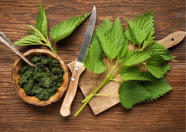 Bột lá tầm ma hữu cơ Dragon Superfoods