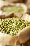 Đậu nành vỏ xanh thuần chủng 10Kg Giá sỉ