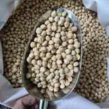 Đậu gà nhập khẩu Úc 25Kg Giá sỉ