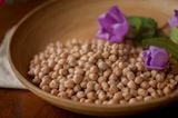 Đậu gà nhập khẩu Úc