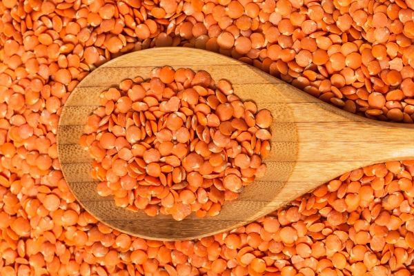Đậu lăng cam nhập khẩu Ấn Độ 25Kg Giá sỉ