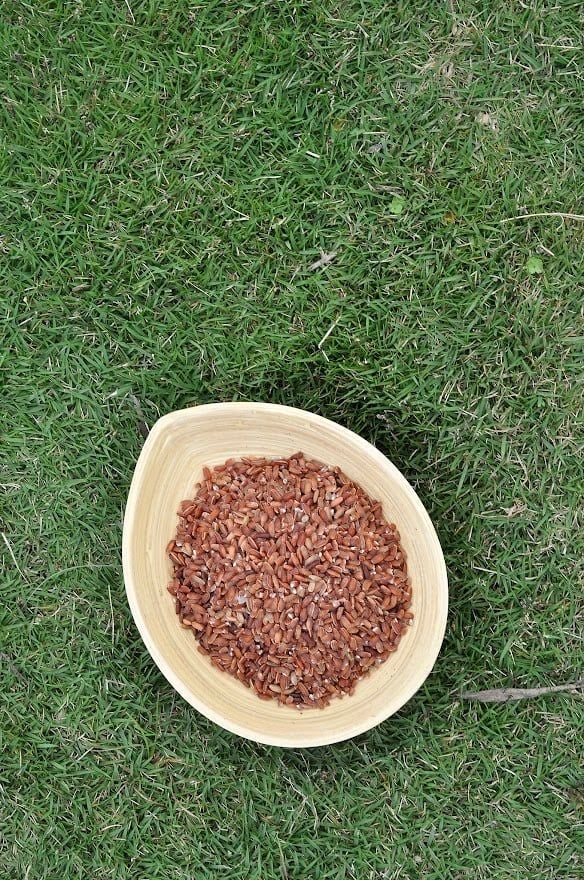 Gạo lứt đỏ cỏ may
