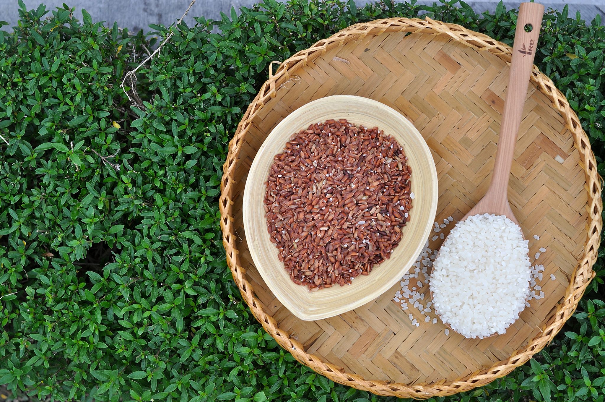 Gạo nương tím có tốt cho người tiểu đường không Gạo nương tím có tốt cho người tiểu đường không