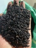 Gạo nếp cẩm nương Tây Bắc