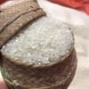 Gạo nếp Tú Lệ - Đặc sản Tây Bắc