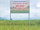 Gạo Séng Cù hạt dài - Đặc sản Mường Lò Yên Bái