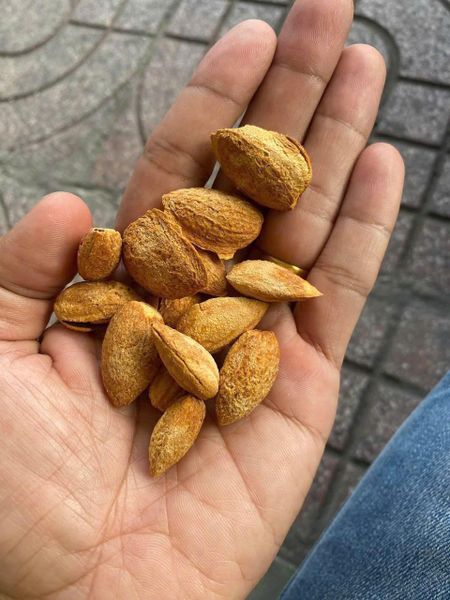 Hạnh nhân sấy bơ 10kg Giá sỉ