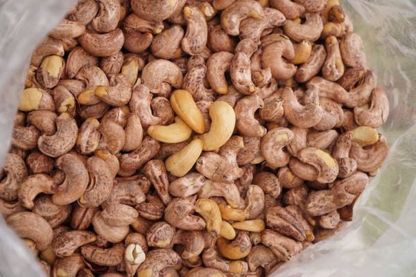 Hạt điều rang muối nguyên vỏ Bình Phước 10kg Giá sỉ