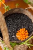 Hạt mè (vừng) đen thuần chủng