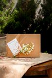 Gift Box quà tặng Healthy Box ngọt ngào