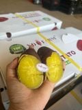 Khoai lang Nhật Xuất khẩu XD farm