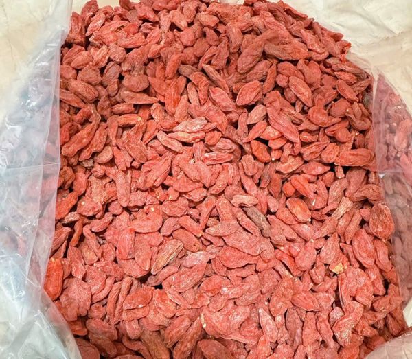 Kỷ tử khô Ninh Hạ loại ngon thượng hạng 10kg Giá sỉ