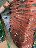 Kỷ tử khô Ninh Hạ loại ngon thượng hạng 10kg Giá sỉ