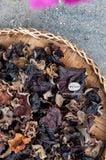 Mộc nhĩ rừng tự nhiên (Tây Bắc)