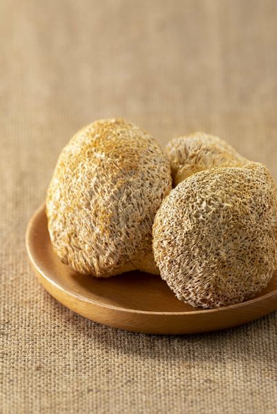 NẤM HẦU THỦ