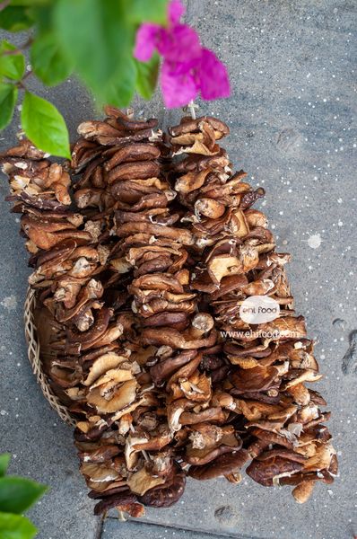 Nấm hương rừng tự nhiên