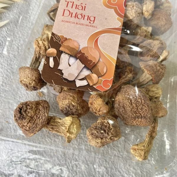 NẤM THÁI DƯƠNG