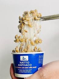 Natto đậu tương lên men tươi Anphaco